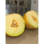Афродіта F1 250 насіння овальної дині, Libra Seeds, Туреччина